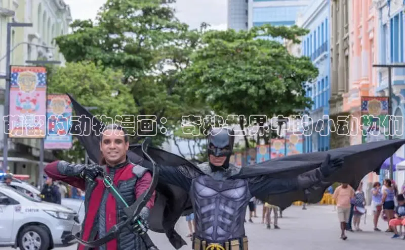 51动漫官网官方进入版本网页在线