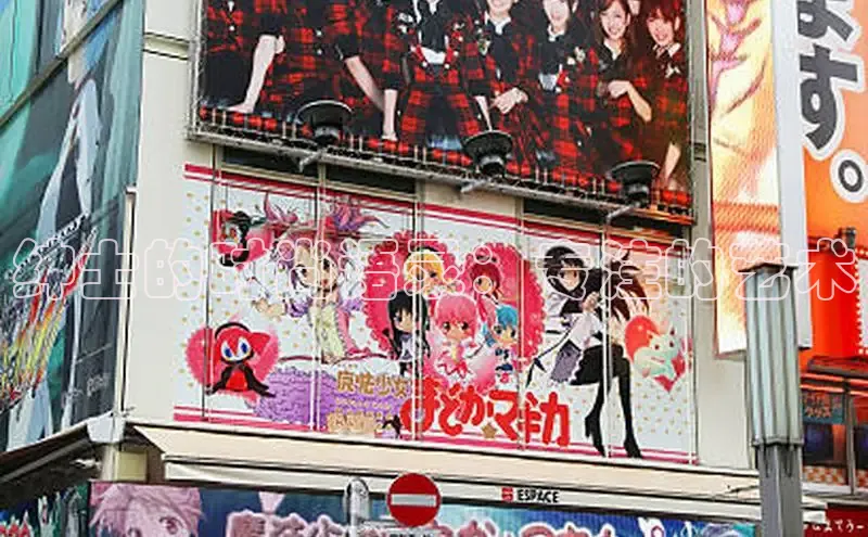 五一动画网页版