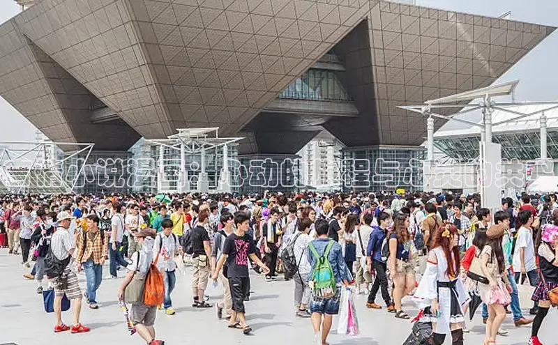 五一动画网页版